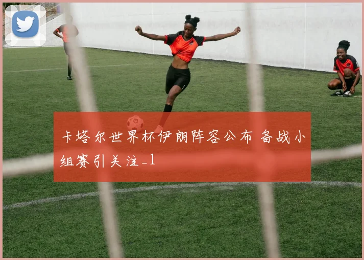 卡塔尔世界杯伊朗阵容公布 备战小组赛引关注_1