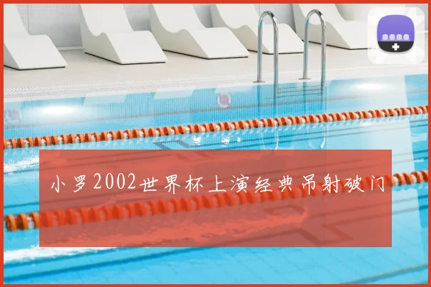 小罗2002世界杯上演经典吊射破门